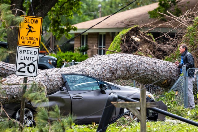 <p>Michael Bray, right, of Slidell, looks at the pine tree that fell onto his car parked in front of his home on Thursday, April 11, 2024</p>
