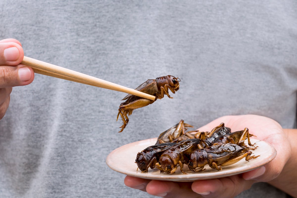 The surprising health benefits of eating insects