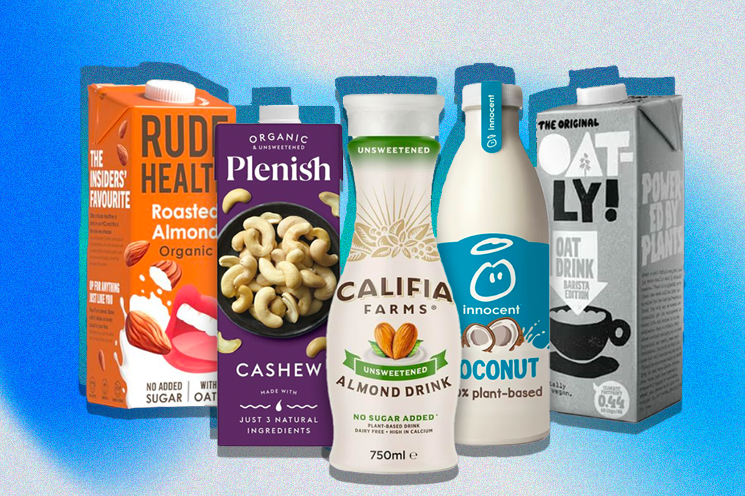 We were looking for dairy dupes as well as plant-based drinks to find the best vegan milk alternatives