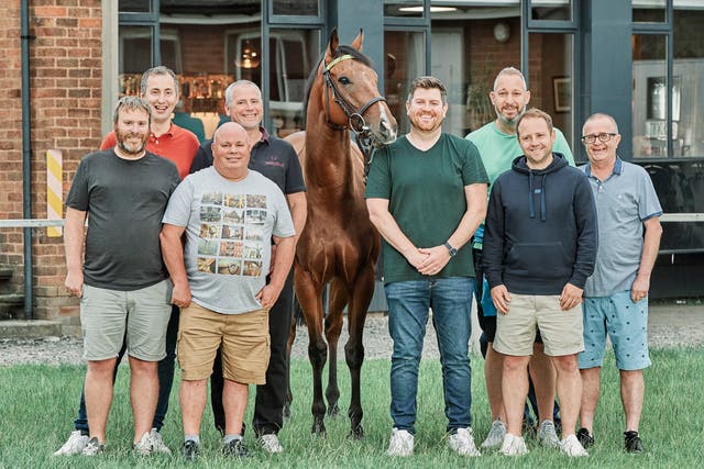 <p>Show pony: the gang from Darlington with their prize-winning stallion </p>