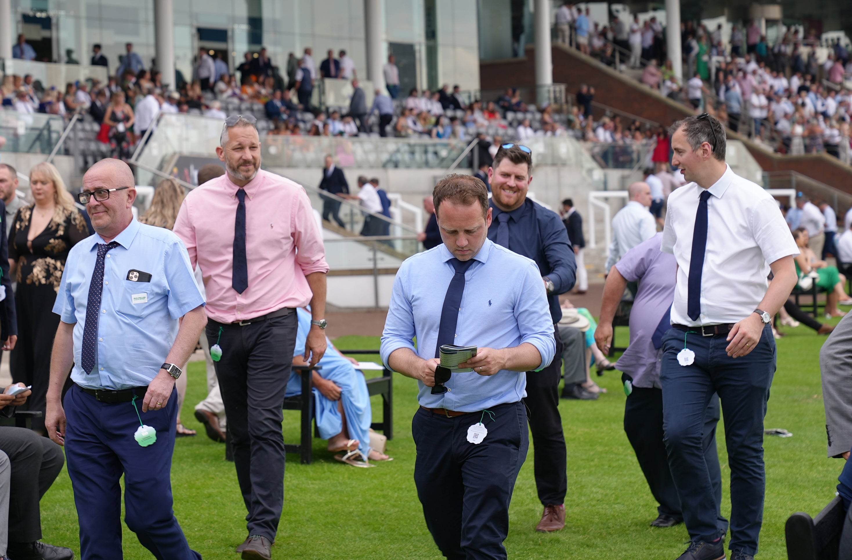 The group had no idea what buying a horse after a night out would entail..