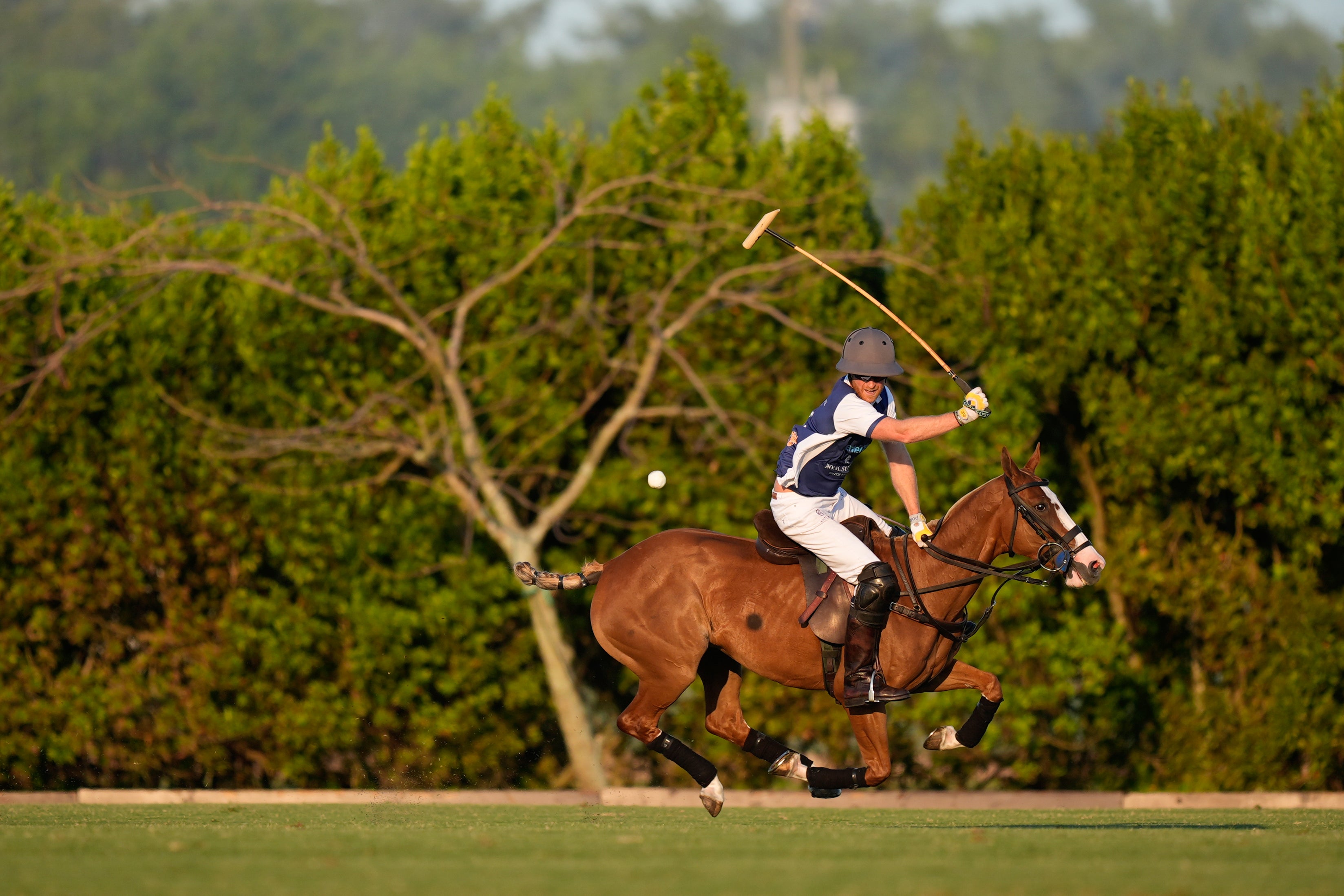 Prince Harry Polo