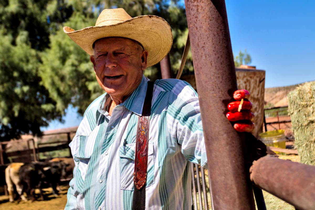 10 years after armed standoff with federal agents, Bundy cattle are still grazing disputed rangeland