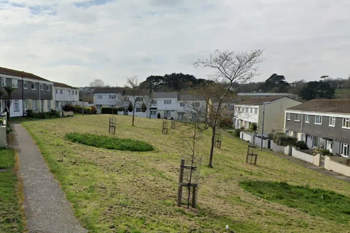 Girl in hospital after being mauled by suspected XL Bully in Truro