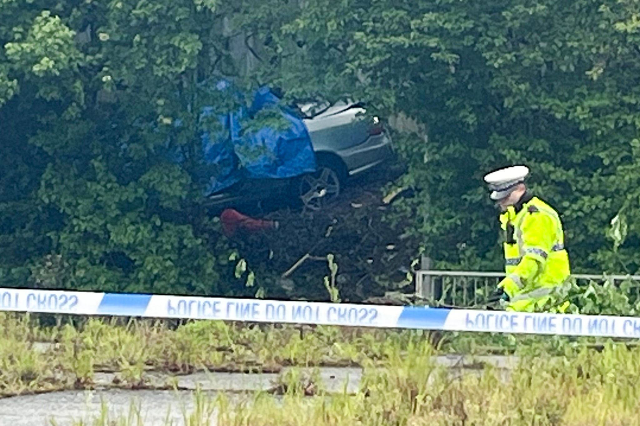 Police officers stand beside a vehicle in the undergrowth at the scene