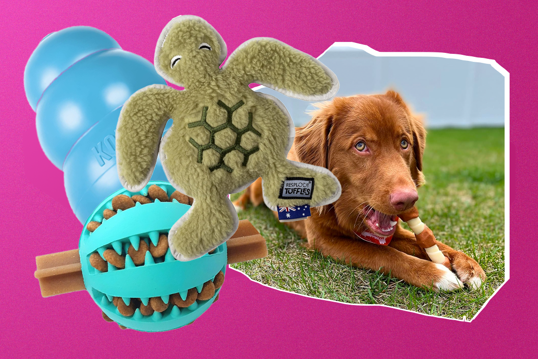 We called upon some furry friends to test these toys