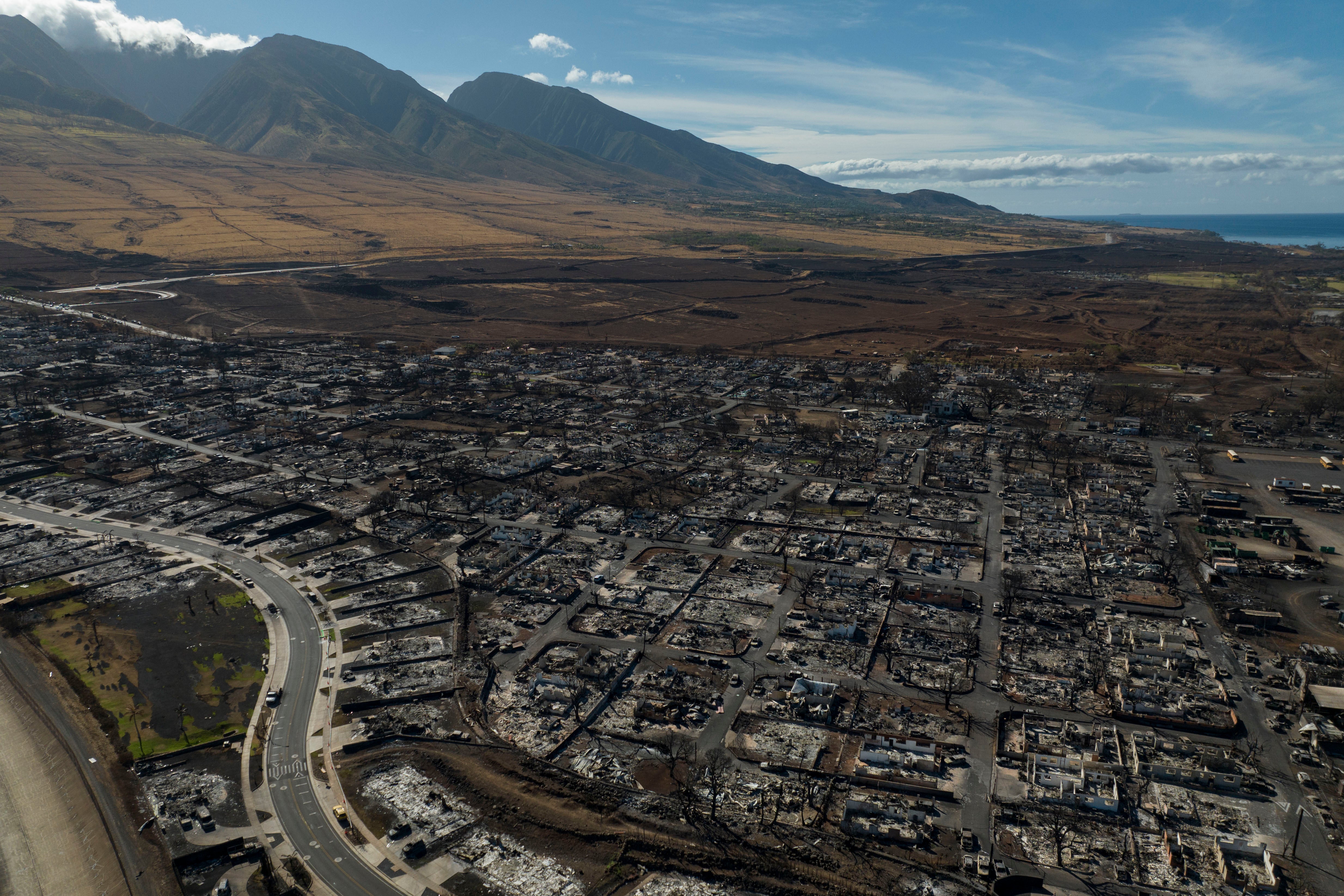 Hawaii Wildfire Fire Department Report