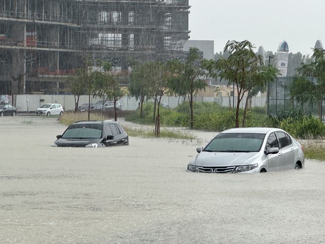 <p>Cars in a flooded street in Dubai </p>