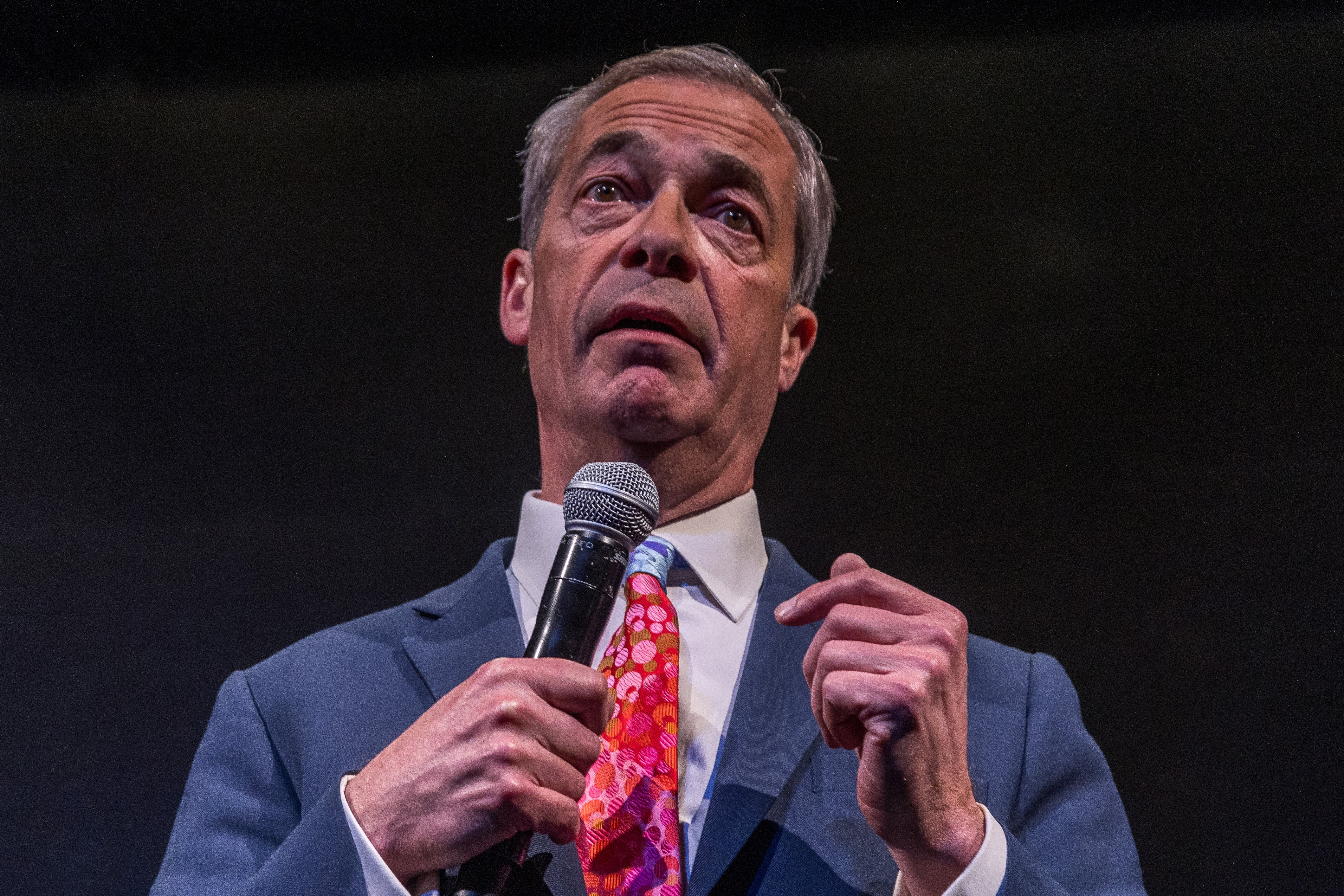 The party has made significant progress without having Nigel Farage as its formal leader