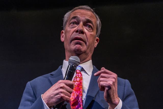 <p>The party has made significant progress without having Nigel Farage as its formal leader</p>