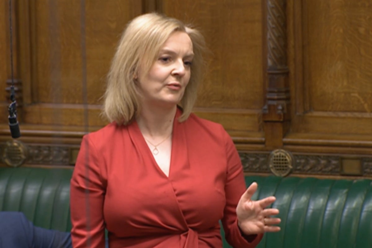 Lords erupts in laughter as member makes dig at Liz Truss after UN criticism