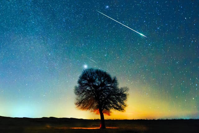 <p>The Lyrid meteor shower will peak on 21-22 April, 2024</p>