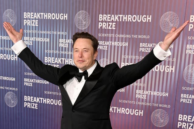 <p>Elon Musk at the 2024 Breakthrough Prize Ceremony  </p>