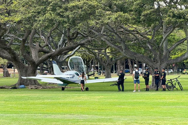 Plane In Park Hawaii