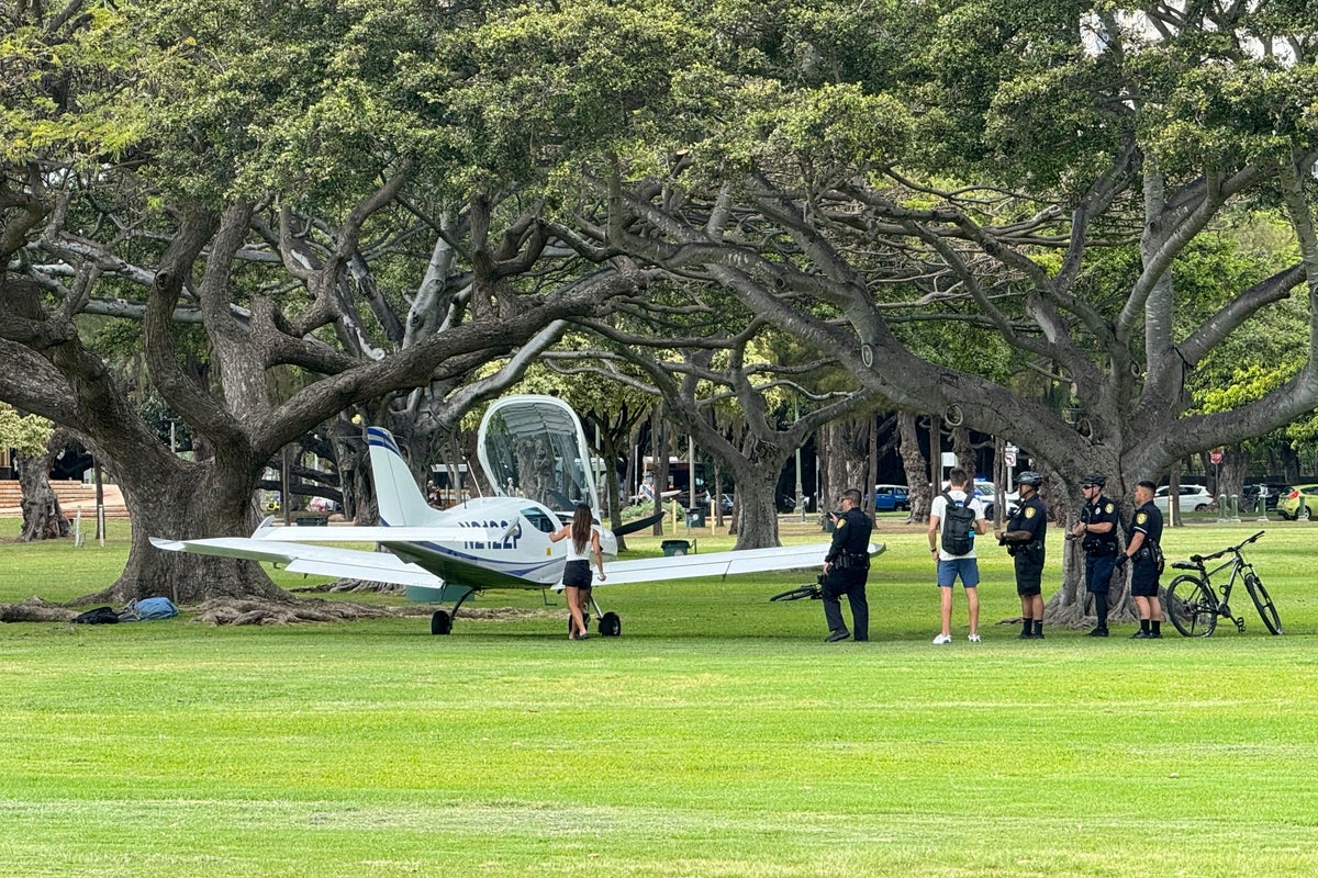 No injuries when small plane lands in sprawling park in middle of Hawaii’s Waikiki tourist mecca