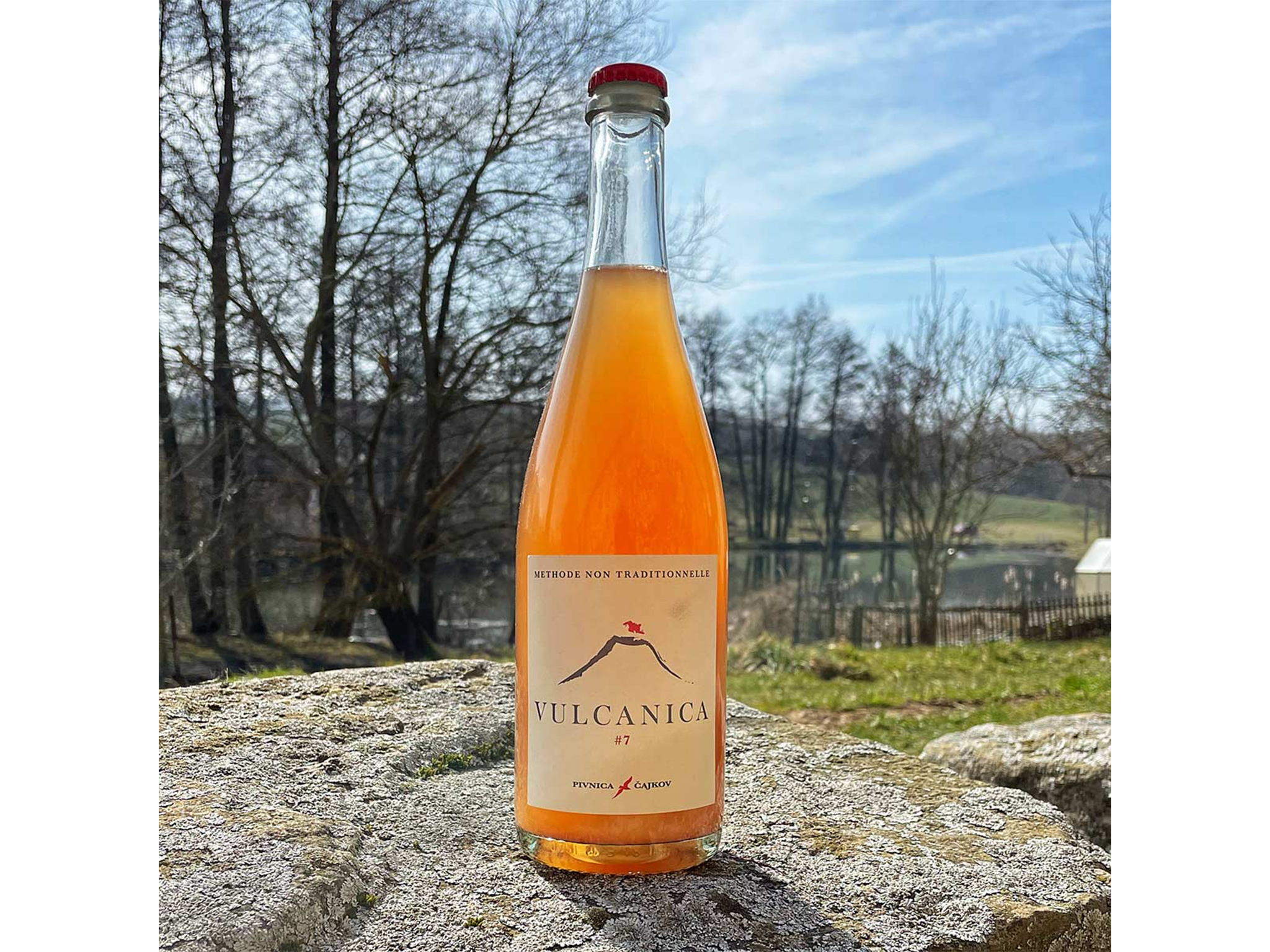 Best pet nat 2024 review indybest Pivnica Čajkov vulcanica sparkling orange wine