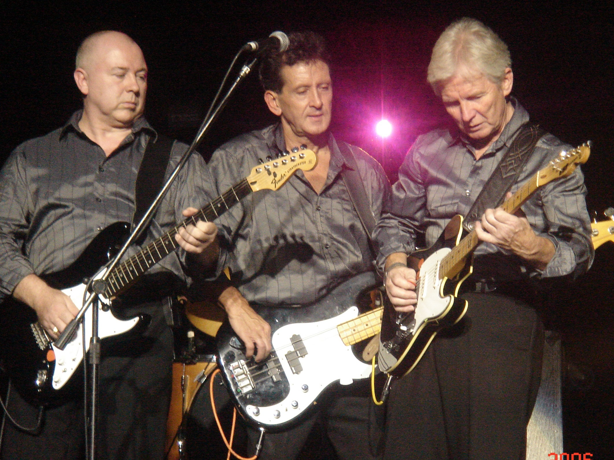 The Searchers performing live