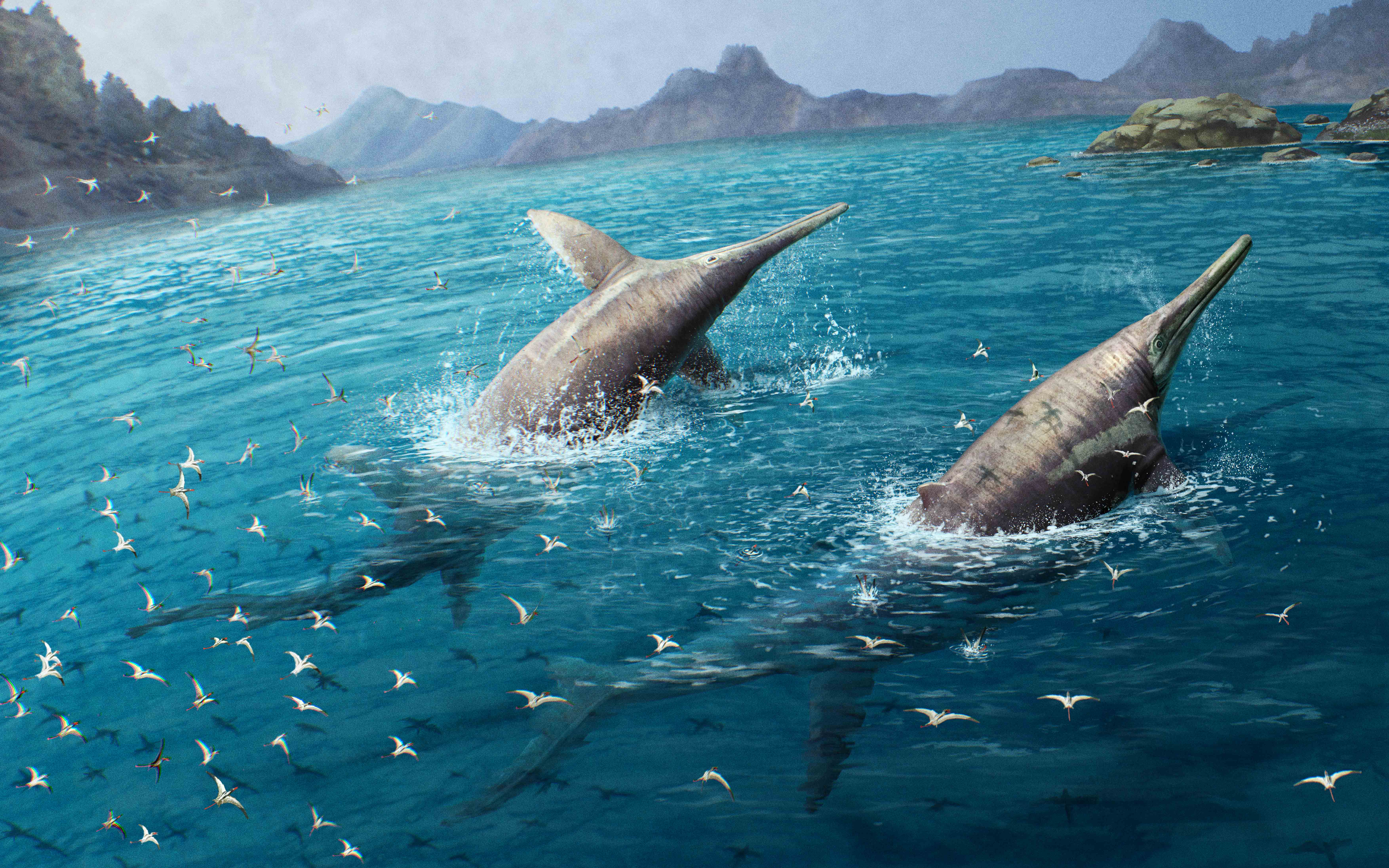 A ichthyosaur species has been identified to be probably the largest marine reptiles