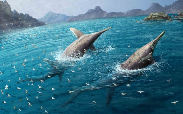 <p>A ichthyosaur species has been identified to be probably the largest marine reptiles</p>