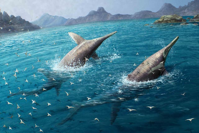 <p>A ichthyosaur species has been identified to be probably the largest marine reptiles</p>