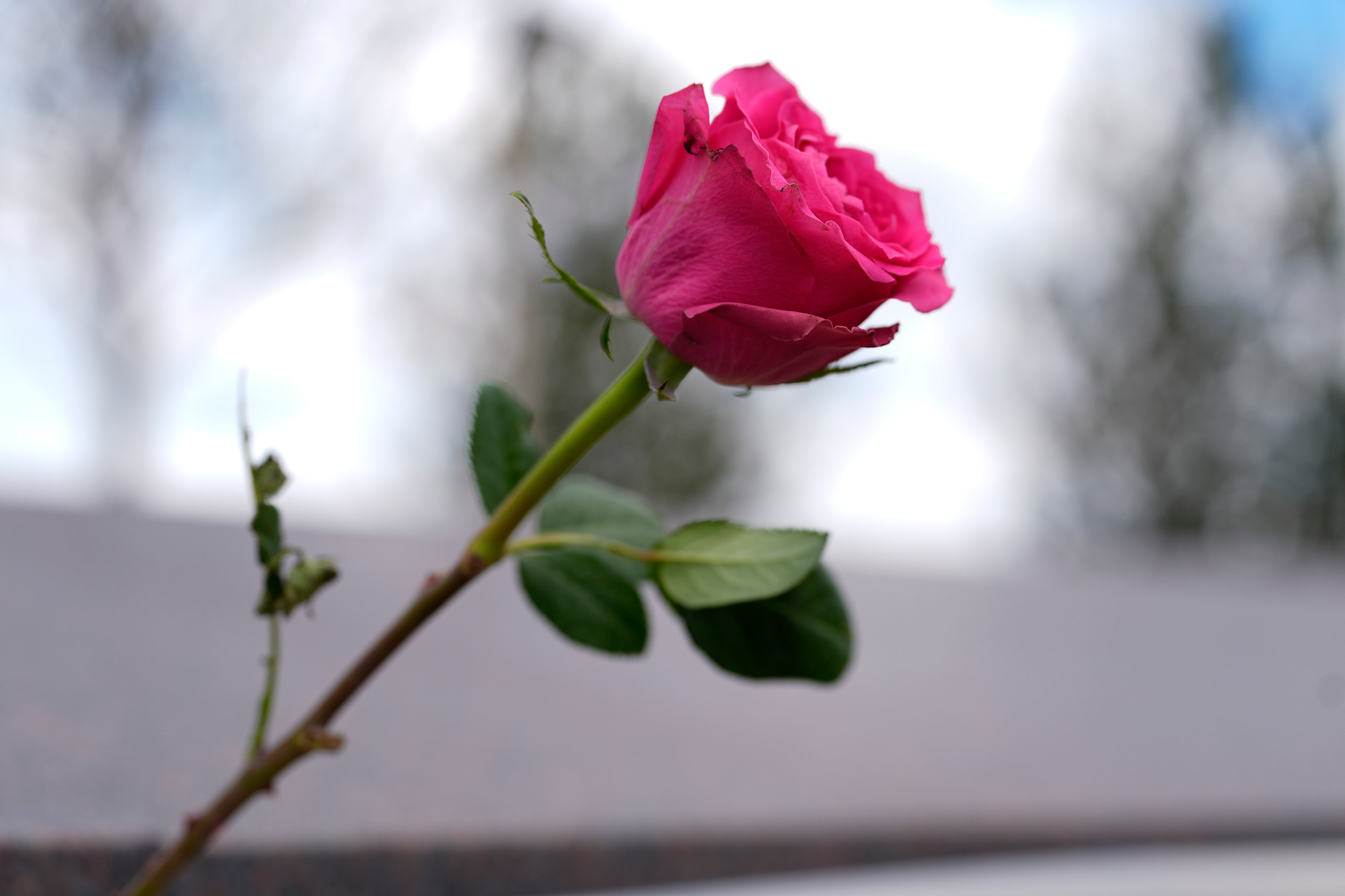 Columbine School Shooting