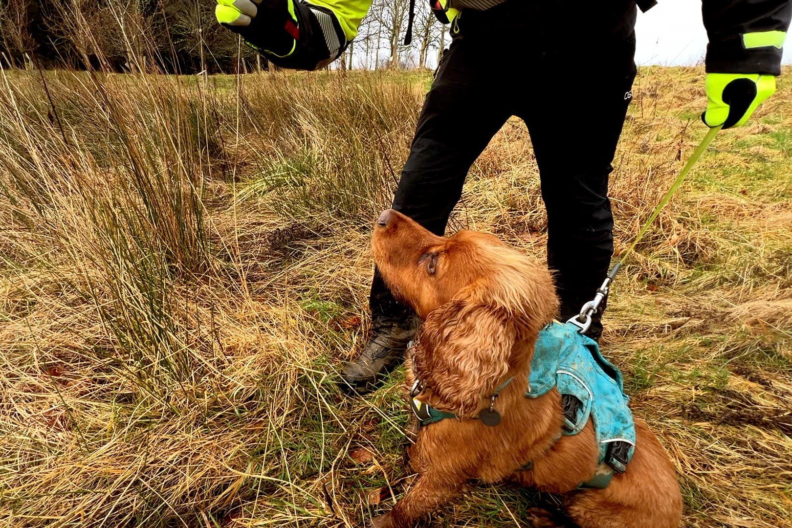 Dogs have been trained to sniff out water leaks (Scottish Water/PA)