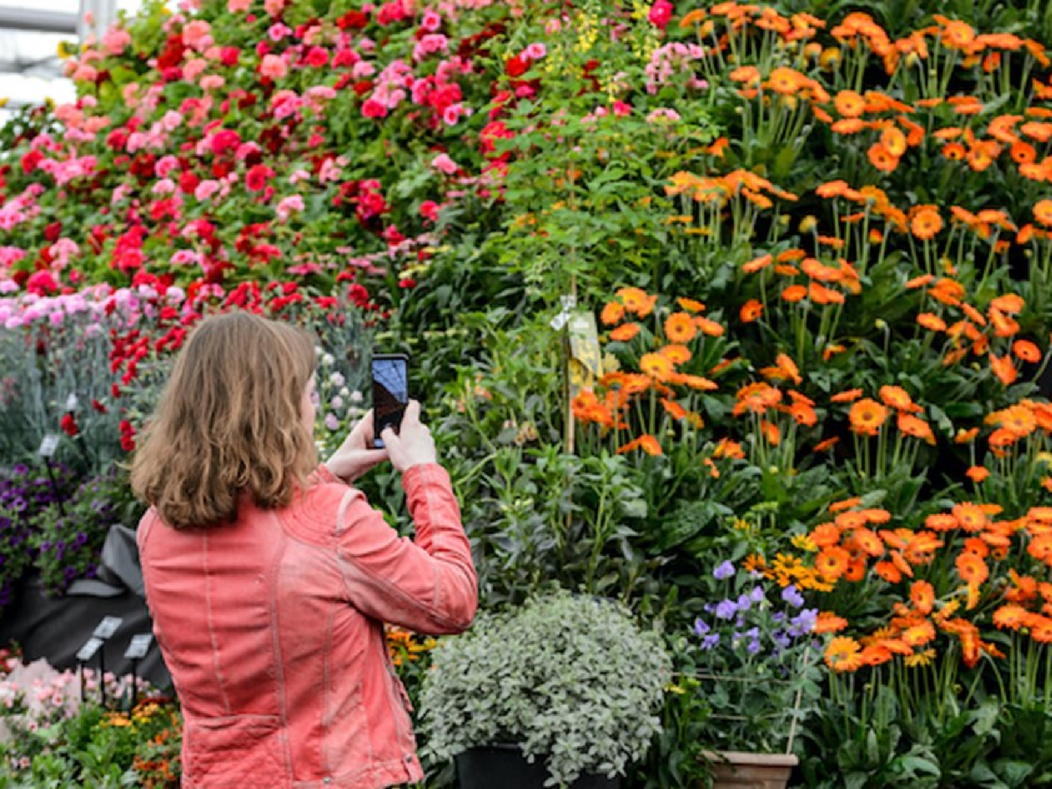 Brighten your mind with garden inspiration at beautiful Beaulieu