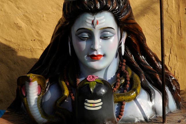 The snake has been named in reference to the snake found around the god Shiva’s neck (Rebekah Downes/PA)