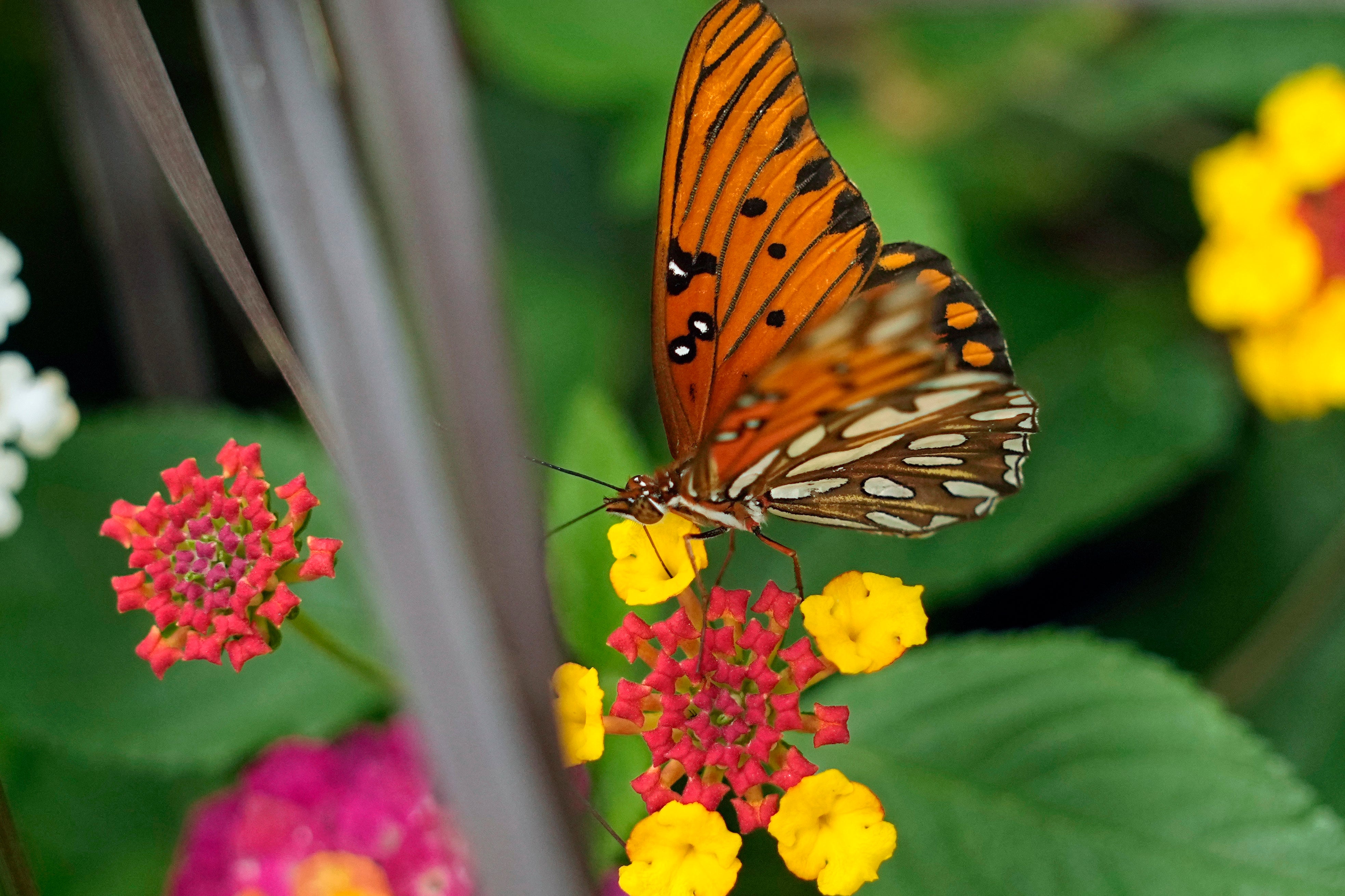 <p>Earth Day draws attention to both the wonder and fragility of our natural world</p>