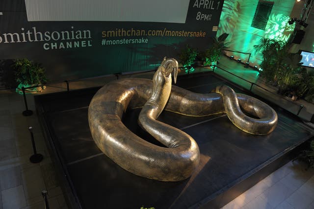 <p>General view of a replica of the prehistoric Titanoboa, the largest snake to ever live, on display at Grand Central Terminal on March 23, 2012 in New York City</p>