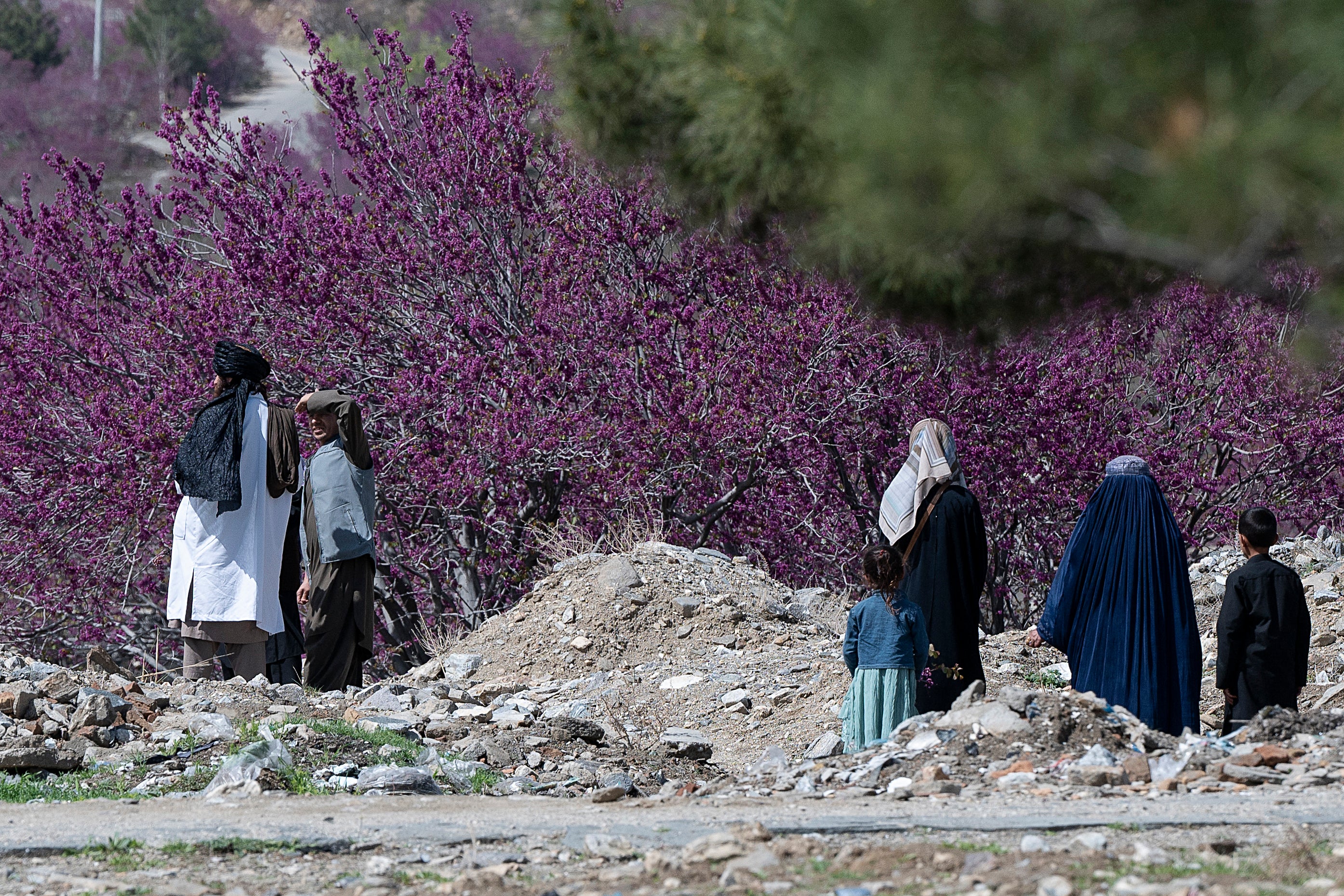 Women and children are barred from visiting a recreational park in Charikar, Parwan Province