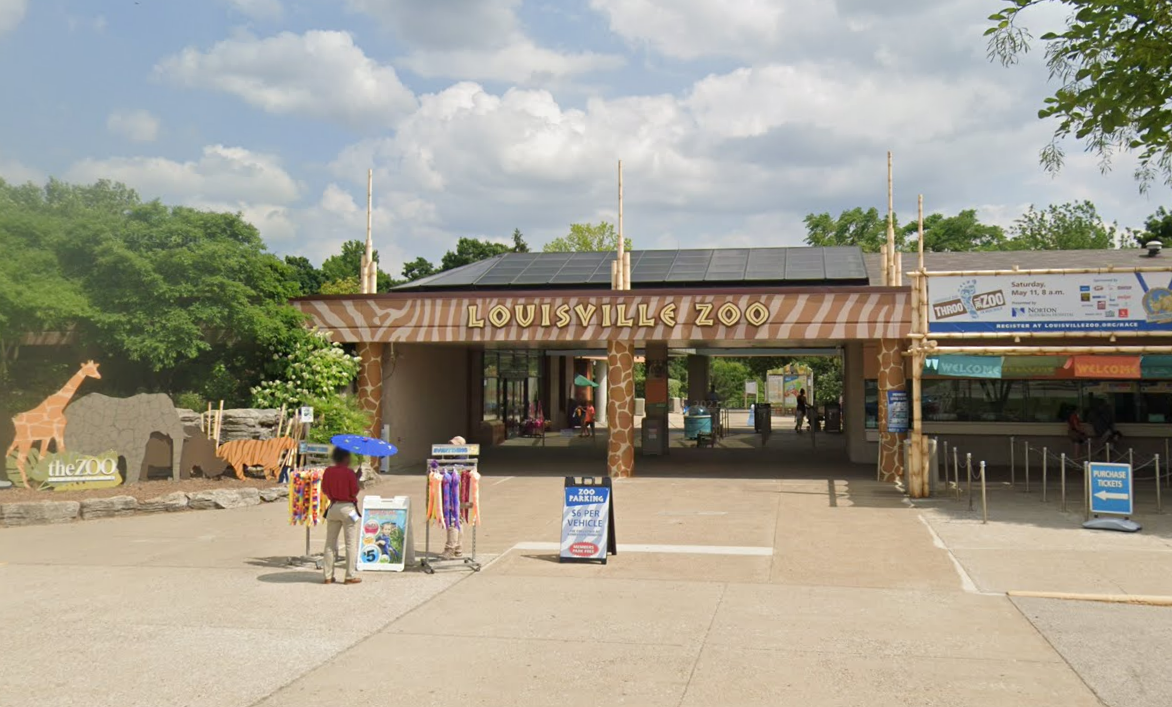 Louisville Zoo, Kentucky. The zoo is now back to normal operations after police gave the all-clear
