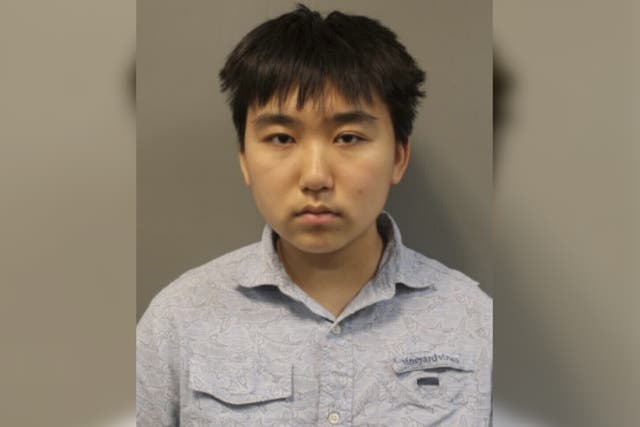 <p>Alex Ye, a high school student, has been charged after police discovered his plans to commit a school shooting</p>