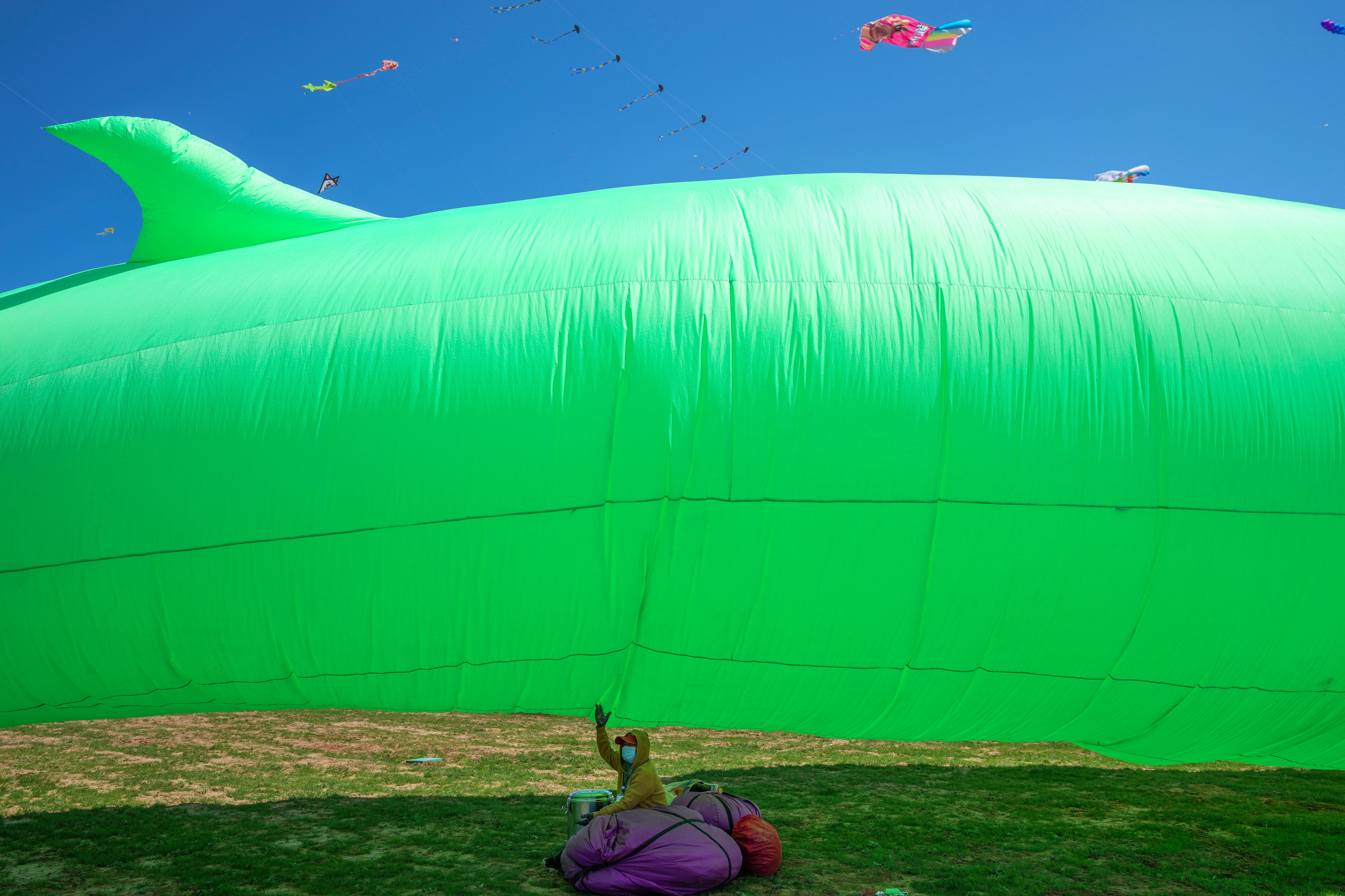China Kite Festival Photo Gallery