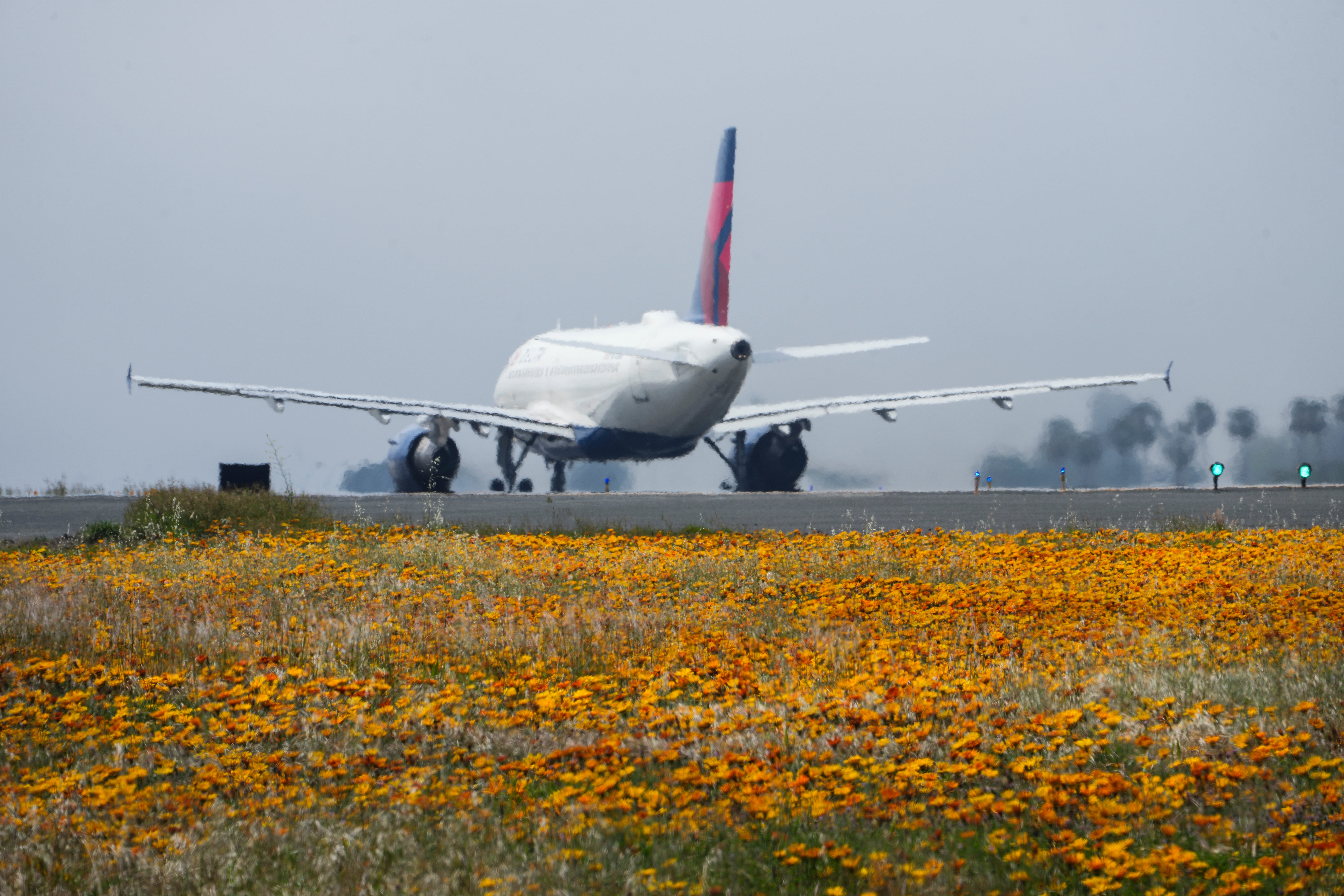 Superbloom Explainer