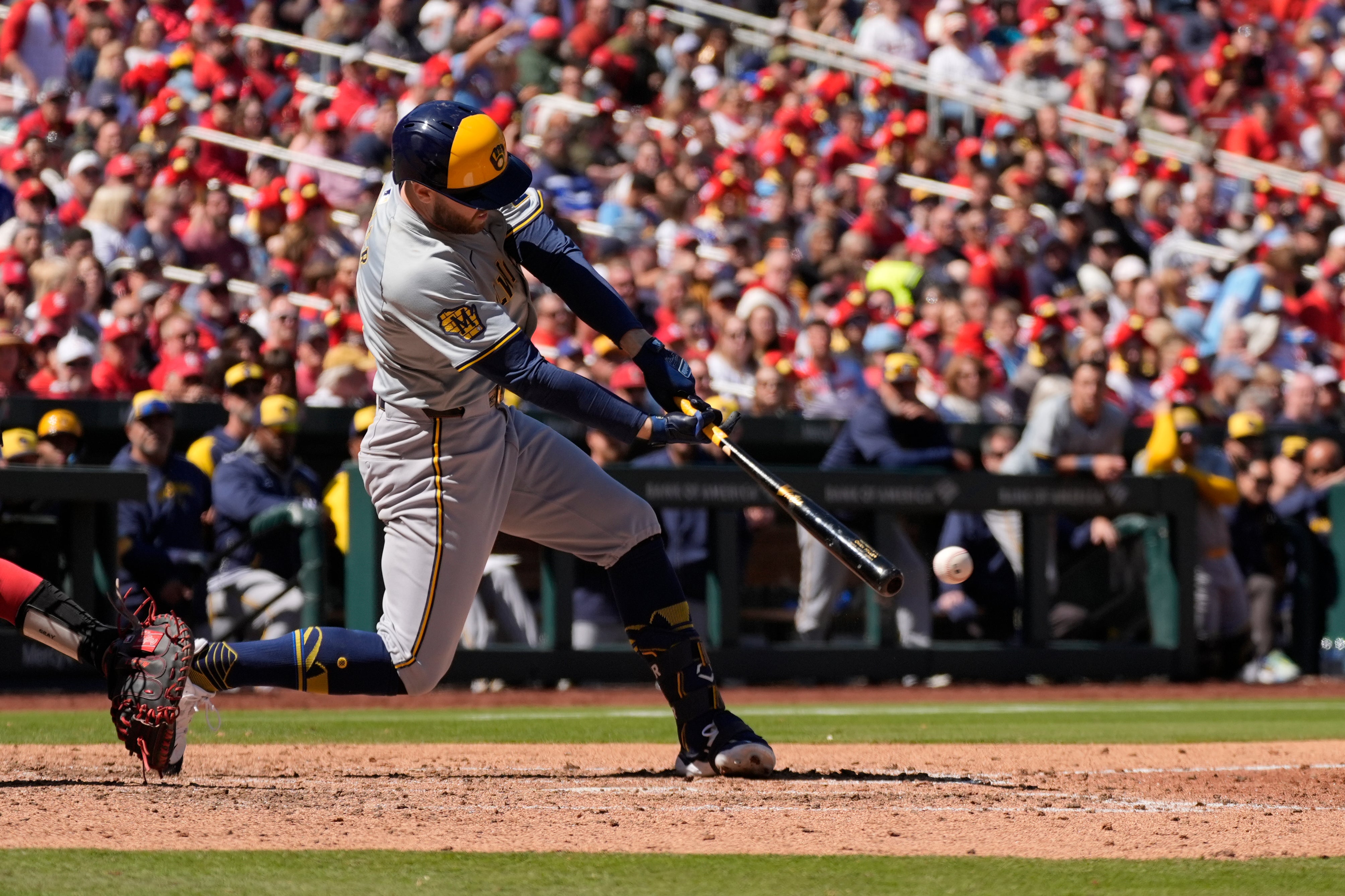 CERVECEROS-CARDENALES