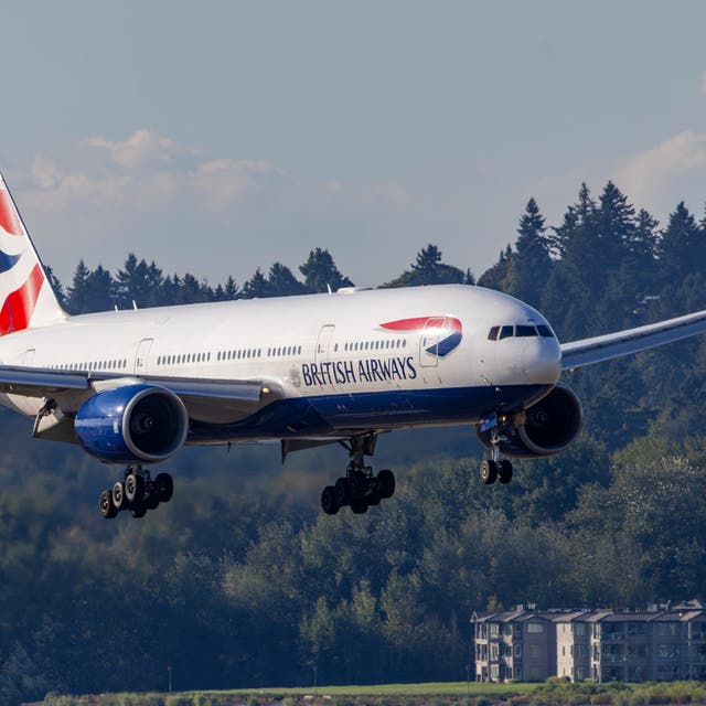 <p>The flight was disembarked, British Airways said (file image) </p>