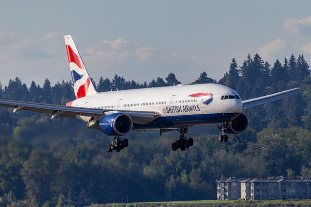 <p>The flight was disembarked, British Airways said (file image) </p>