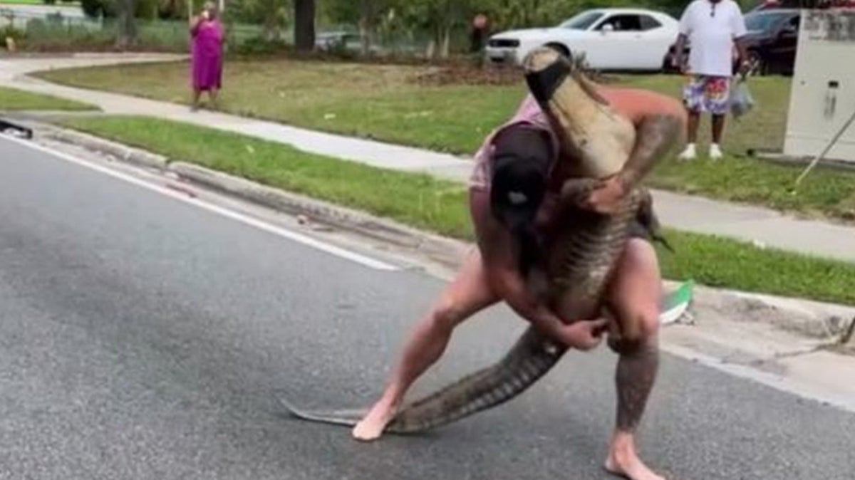 Barefoot Florida man wrangles 8ft alligator in residential neighbourhood