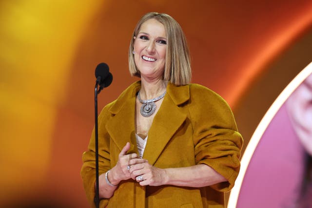 <p>Céline Dion onstage at the 66th Grammys</p>