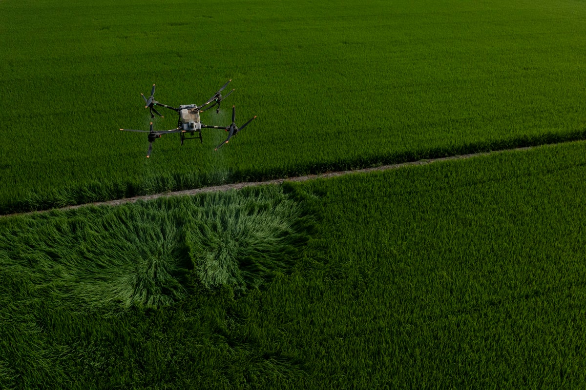 Vietnam farmers are revolutionising how they grow rice in bid to save the planet