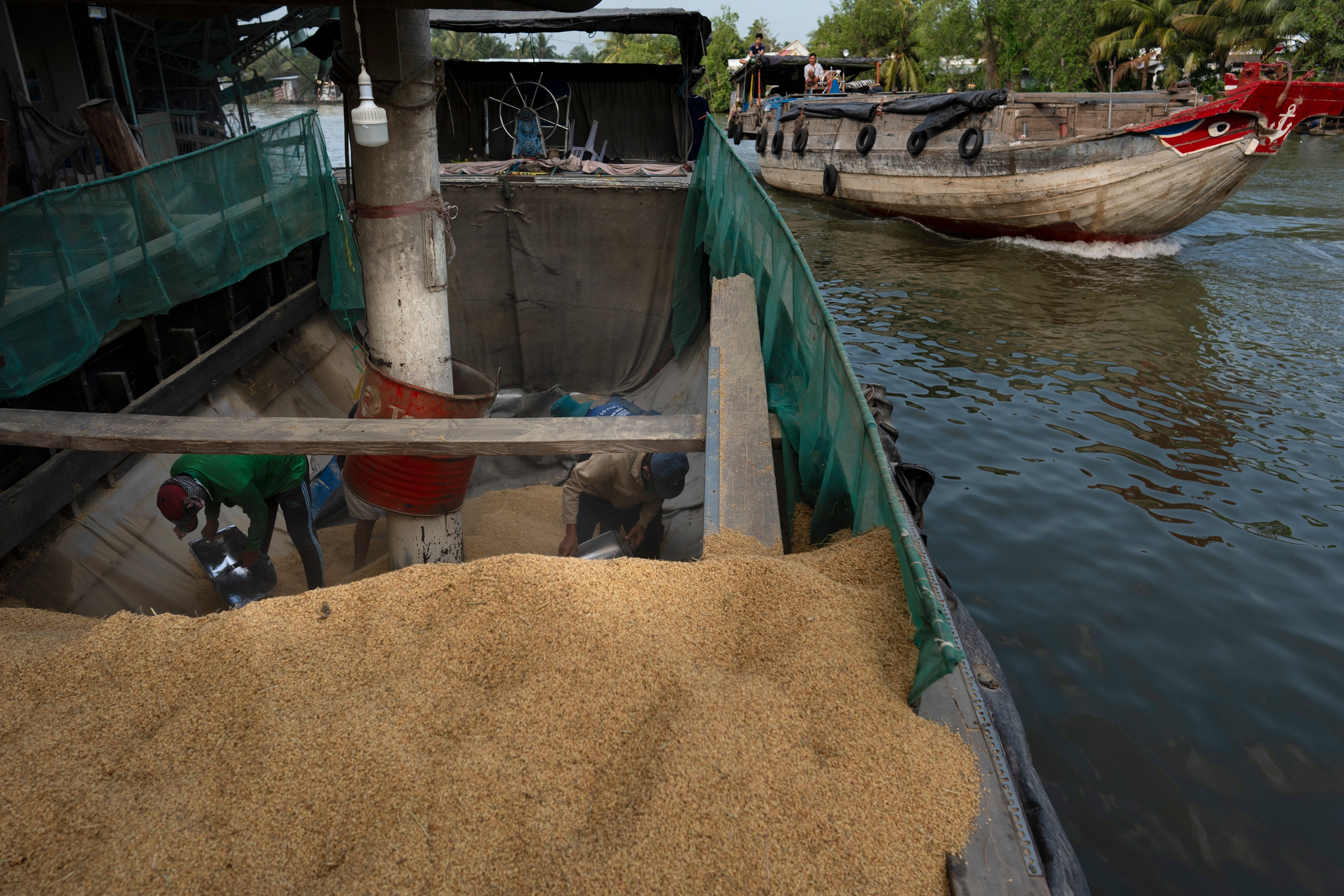Workers scoop paddy rice into the mouth of a vacuum tube on a boat for processing at Hoang Minh Nhat, a rice export company in Can Tho, Vietnam