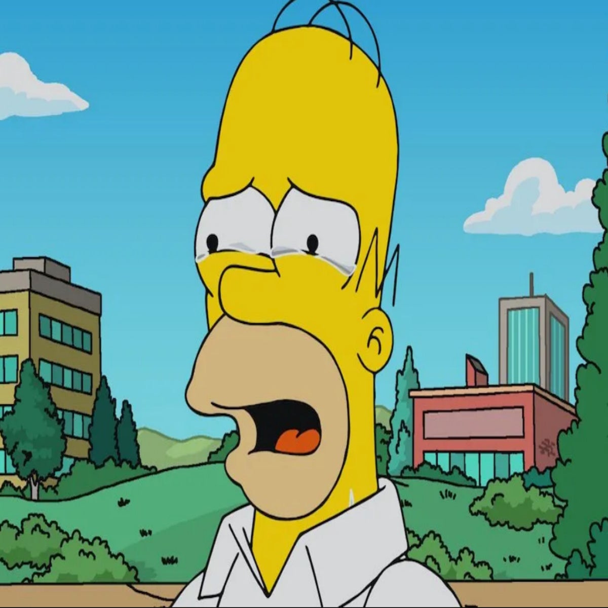 The Simpsons fans shocked as series kills off character who dates back to  season one | The Independent