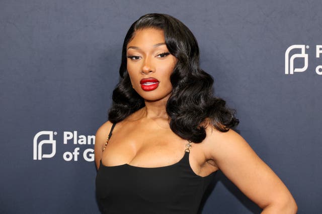 <p>Megan Thee Stallion attends the 2024 Planned Parenthood Of Greater New York Gala in April 2024</p>