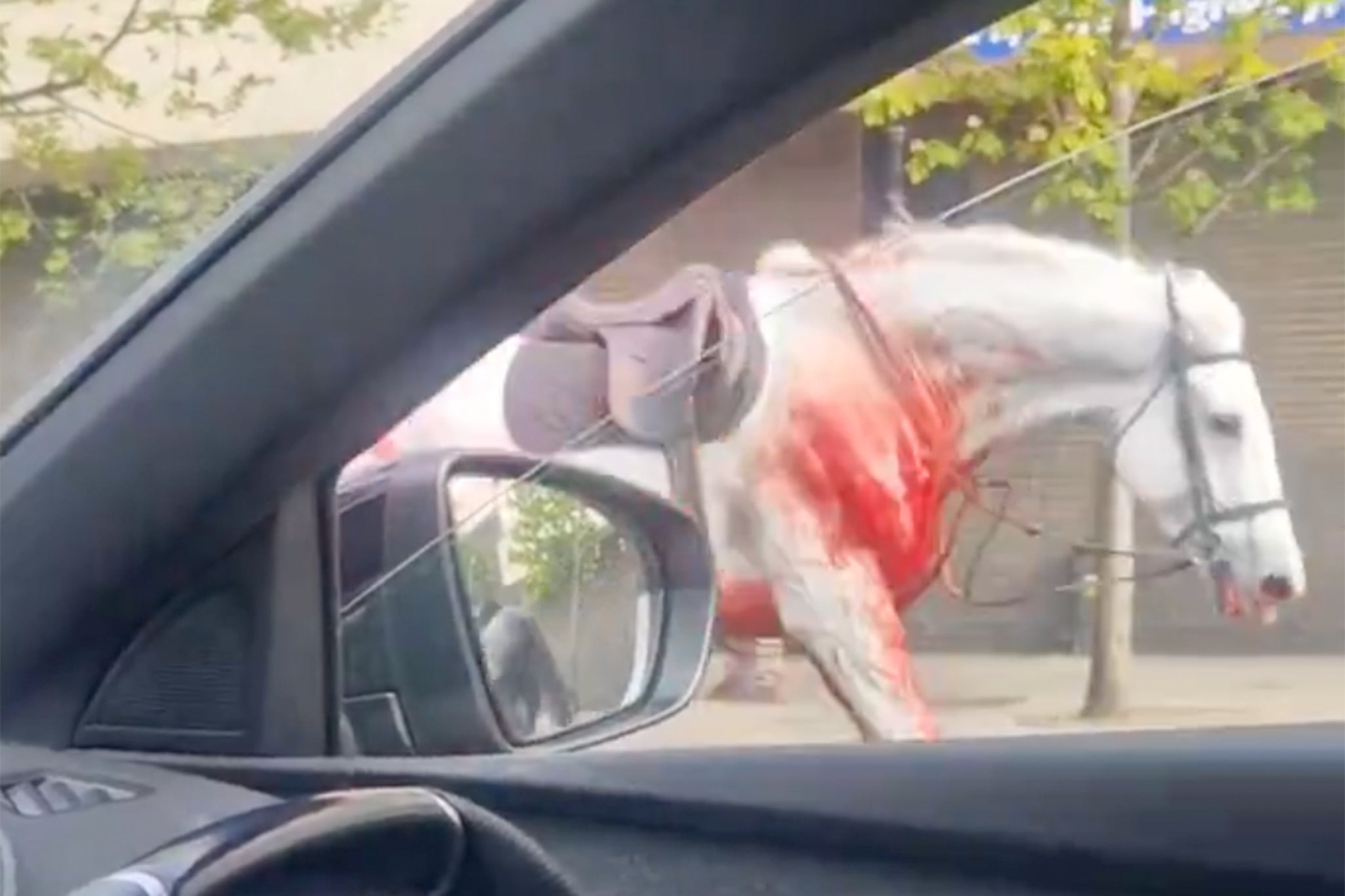 A blood-soaked horse seen in Shadwell, over three miles from Whitehall