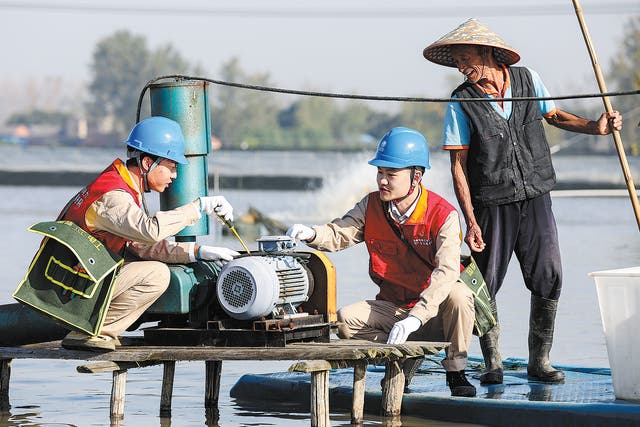 <p>Electric power workers inspect oxygen supply equipment in a crab pond in Huai’an, Jiangsu province, in November</p>