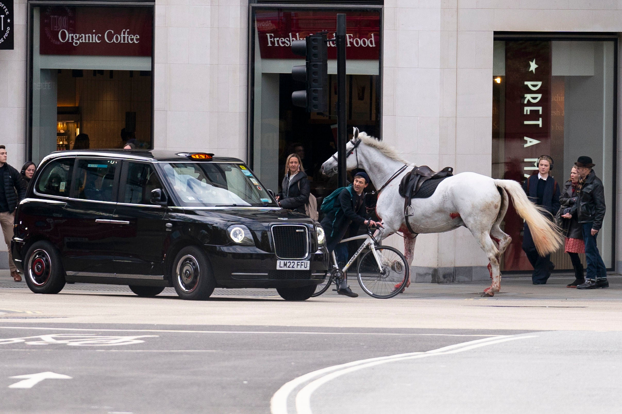 LONDRES-CABALLOS SUELTOS
