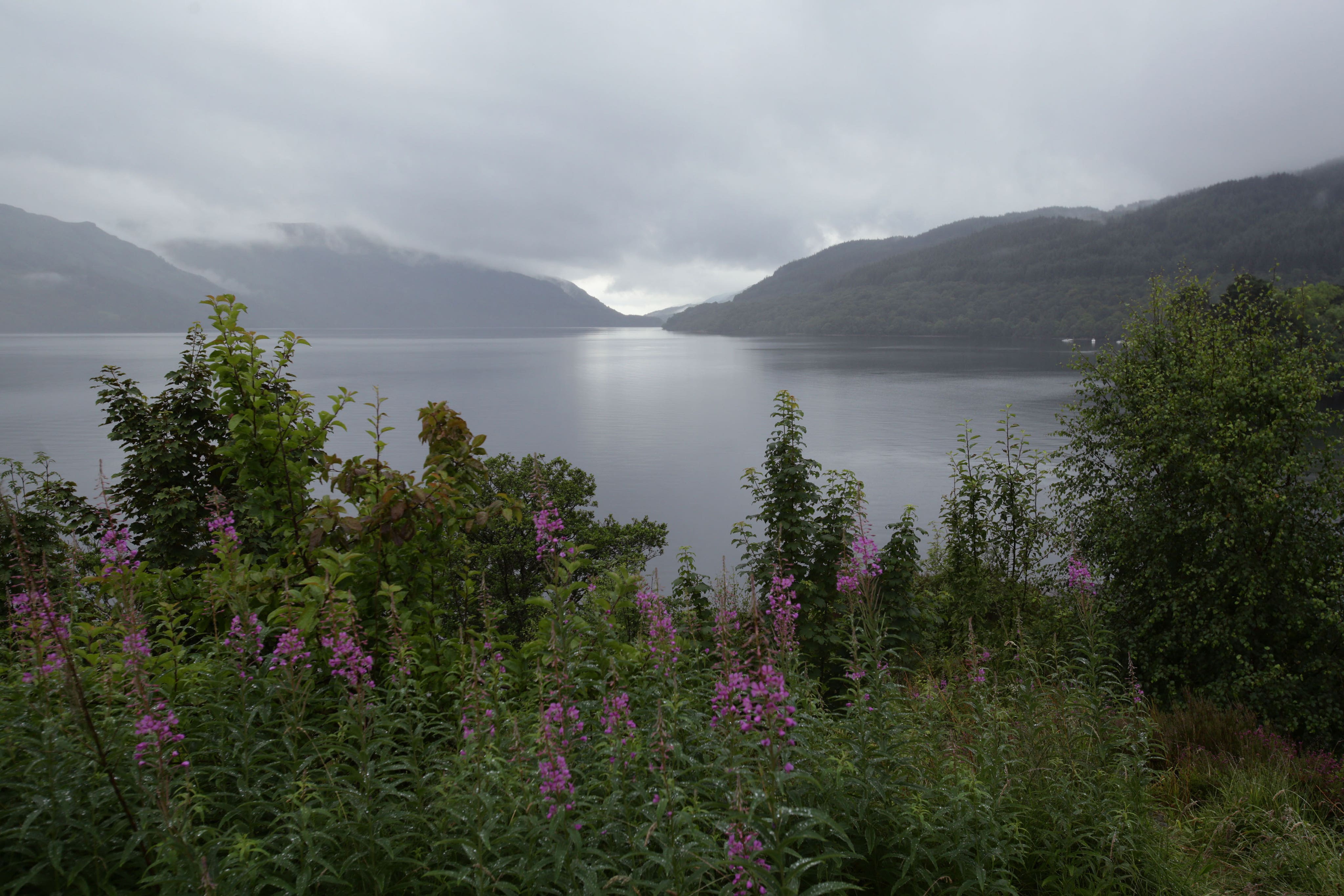 There are calls for Scotland to become a Rewilding Nation (Yui Mok/PA)