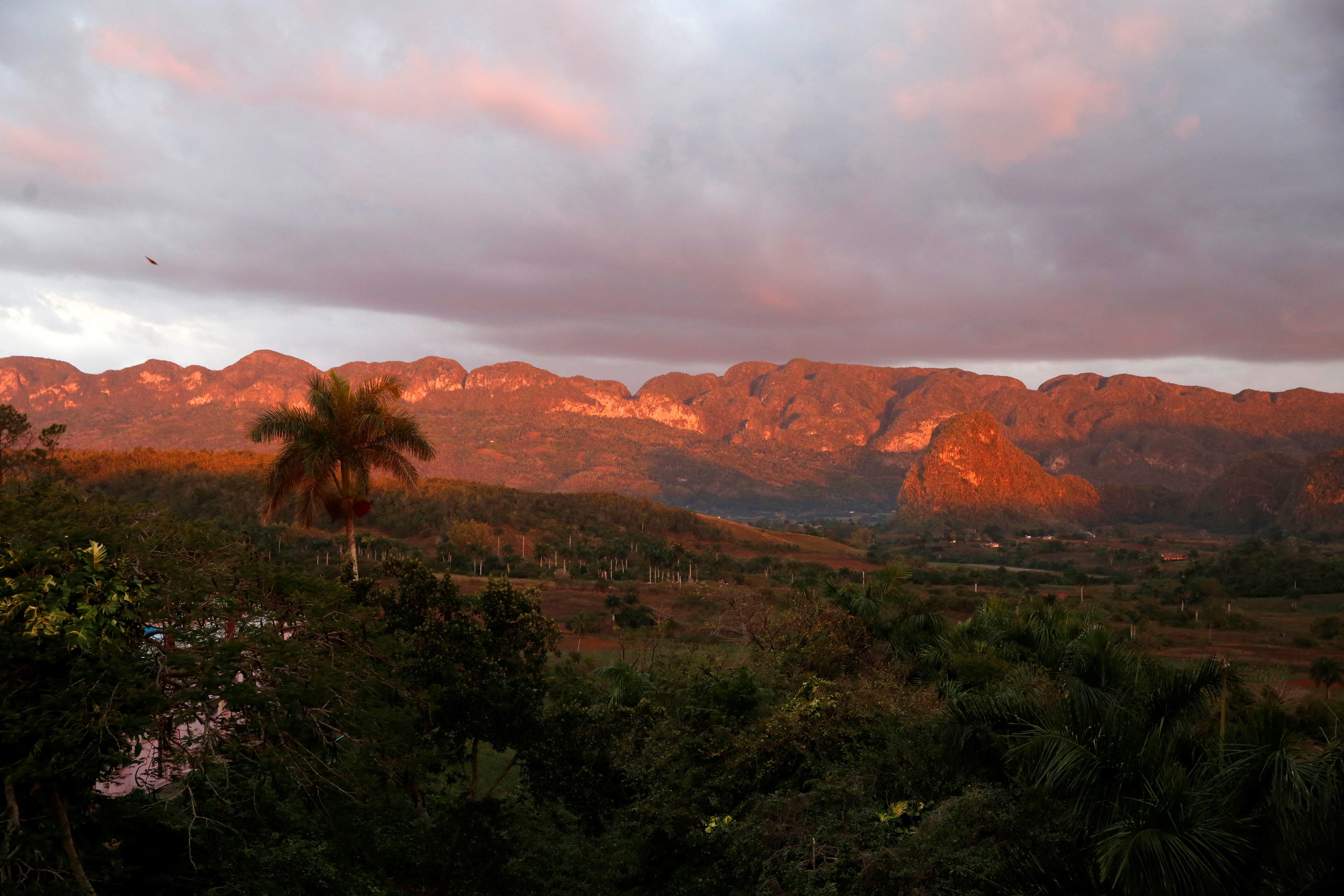 A general view of the valley of Vinales, where tobacco plants are grown