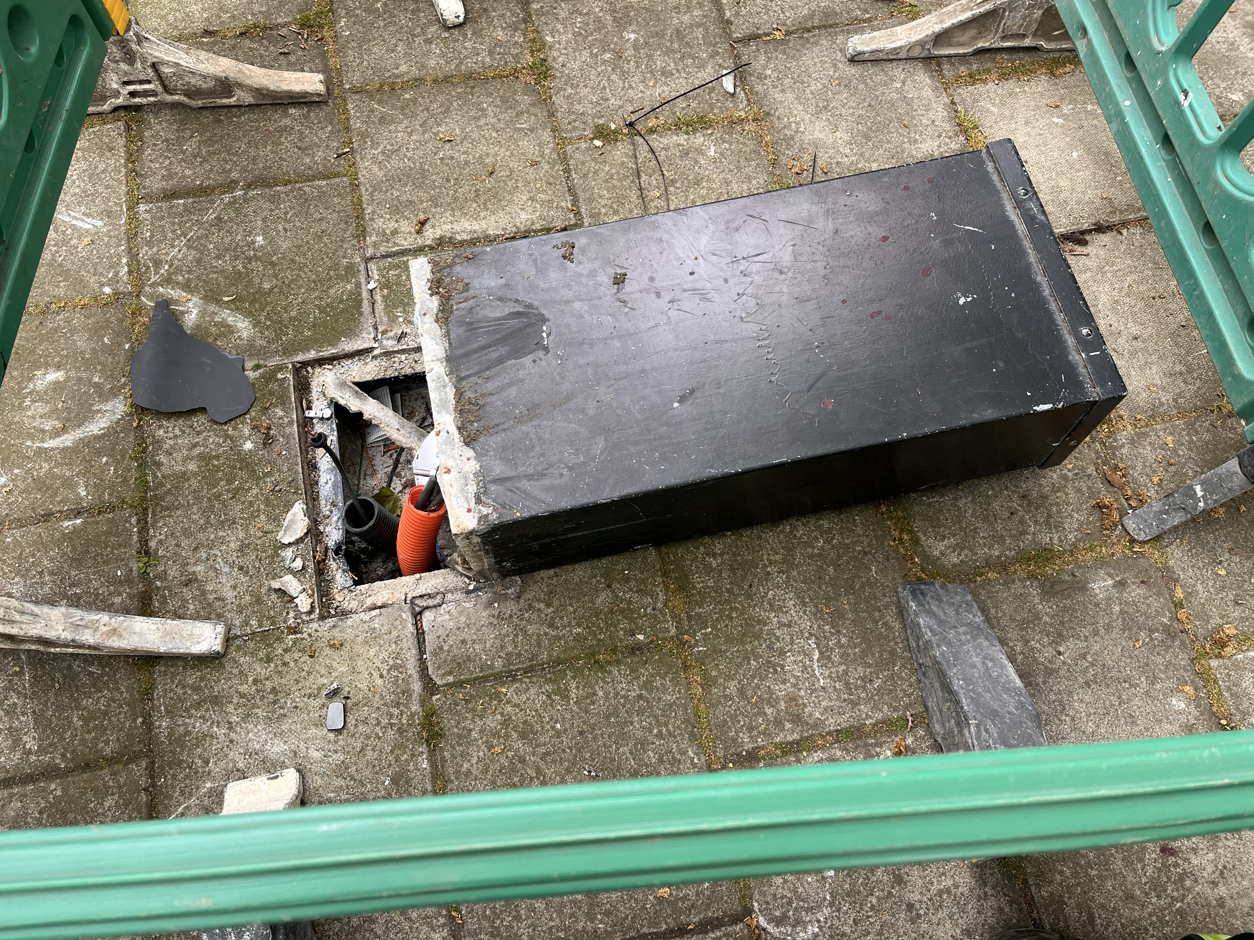 The horses ploughed through an electricity box in Belgrave Square